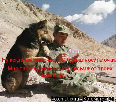 Мне так надоело читать письма от твоих Кошечек... Ну когда же, наконец, ты будеш носить очки.... Котоматрица: Мне так надоело читать письма от твоих Кошечек... Ну когда же, наконец, ты будеш носить очки.