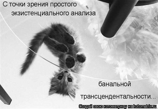 экзистенциального анализа С точки зрения простого банальной трансцендентальности...... Котоматрица: экзистенциального анализа С точки зрения простого банальной трансцендентальности...