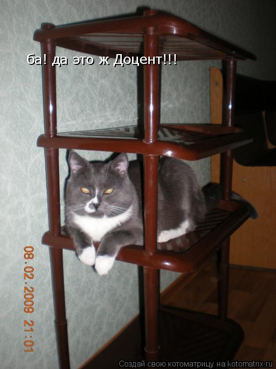 ба! да это ж Доцент!!!... Котоматрица: ба! да это ж Доцент!!!