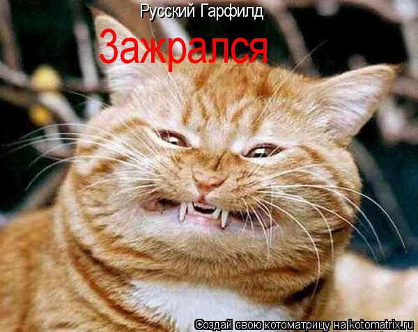 Русский Гарфилд 3ажрался... Котоматрица: Русский Гарфилд 3ажрался