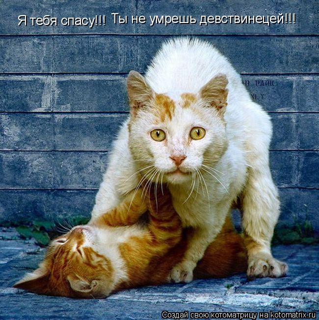 Я тебя спасу!!! Ты не умрешь девствинецей!!!... Котоматрица: Я тебя спасу!!! Ты не умрешь девствинецей!!!