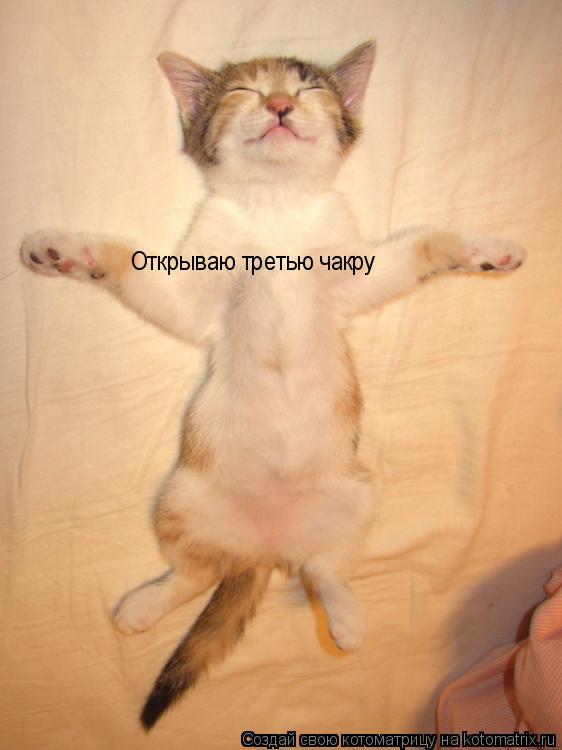 Котоматрица: Открываю третью чакру