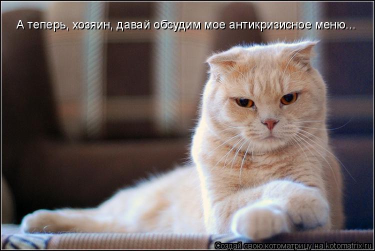 А теперь, хозяин, давай обсудим мое антикризисное меню...... Котоматрица: А теперь, хозяин, давай обсудим мое антикризисное меню...