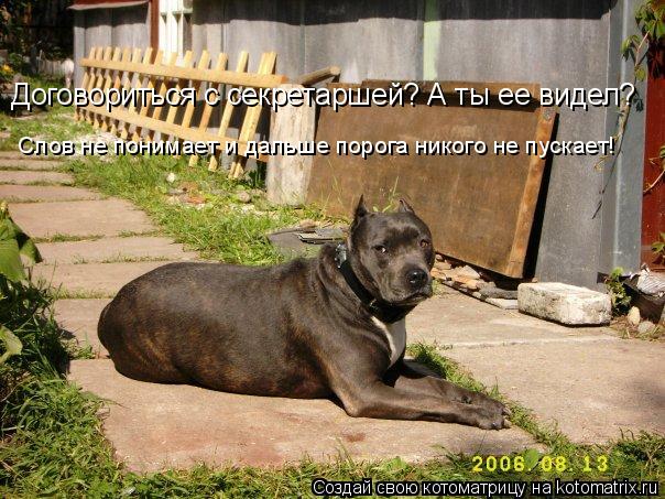 Котоматрица: Договориться с секретаршей? А ты ее видел? Слов не понимает и дальше порога никого не пускает!