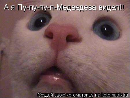 А я Пу-пу-пу-п-Медведева видел!!... Котоматрица: А я Пу-пу-пу-п-Медведева видел!!