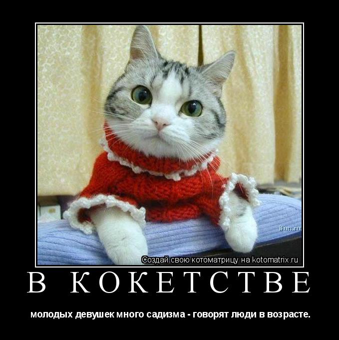 В кокетстве молодых девушек много садизма - говорят люди в возрасте.... Котоматрица: В кокетстве молодых девушек много садизма - говорят люди в возрасте.