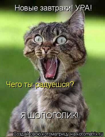 Новые завтраки! УРА! Чего ты радуешся? Я ШОПОГОЛИК!... Котоматрица: Новые завтраки! УРА! Чего ты радуешся? Я ШОПОГОЛИК!