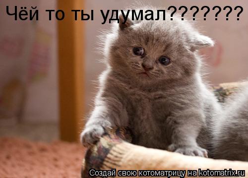 Чёй то ты удумал???????... Котоматрица: Чёй то ты удумал???????