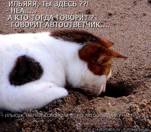 - ИЛЬЯЯЯ, ТЫ ЗДЕСЬ ??! - НЕА..... - А КТО ТОГДА ГОВОРИТ ? - ГОВОРИТ АВТООТВЕТЧИК.... - ИЛЬЮХА, ВЫЛАЗЬ... Котоматрица: - ИЛЬЯЯЯ, ТЫ ЗДЕСЬ ??! - НЕА..... - А КТО ТОГДА ГОВОРИТ ? - ГОВОРИТ АВТООТВЕТЧИК.... - ИЛЬЮХА, ВЫЛАЗЬ ГОВОРЮ, А ТО ПО АВТООТВЕТЧИКУ НАСТУЧУ !!!! )))))