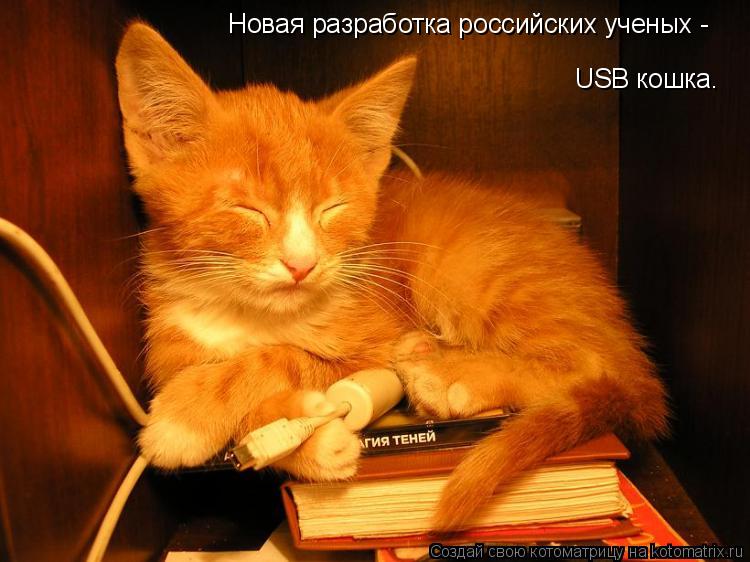 USB кошка. Новая разработка российских ученых -... Котоматрица: USB кошка. Новая разработка российских ученых -