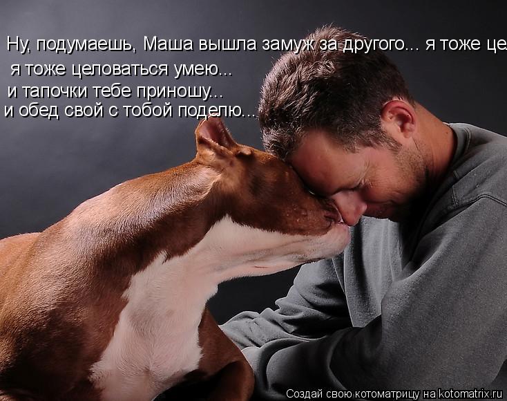 Котоматрица: Ну, подумаешь, Маша вышла замуж за другого... я тоже целоваться умею... я тоже целоваться умею... и тапочки тебе приношу... и обед свой с тобой по