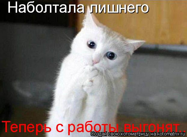 Котоматрица: Наболтала лишнего Теперь с работы выгонят..........