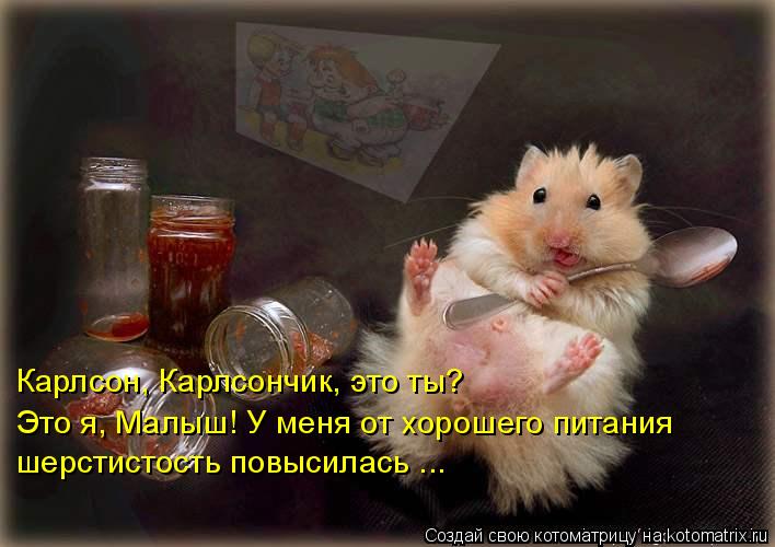 Котоматрица: Карлсон, Карлсончик, это ты? Это я, Малыш! У меня от хорошего питания шерстистость повысилась ...