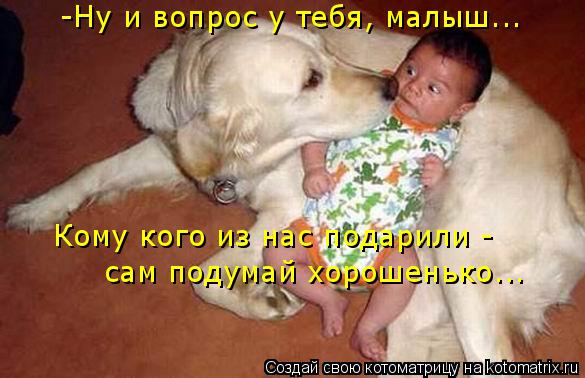 -Ну и вопрос у тебя, малыш... Кому кого из нас подарили - сам подумай хорошенько...... Котоматрица: -Ну и вопрос у тебя, малыш... Кому кого из нас подарили - сам подумай хорошенько...