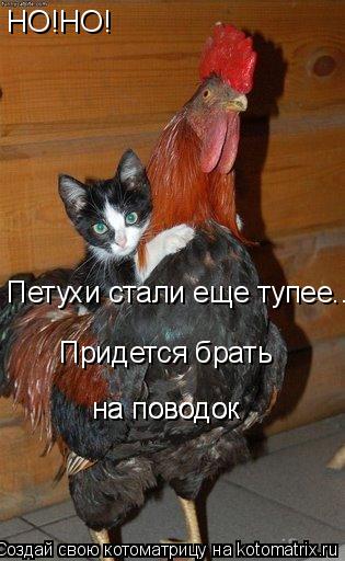 НО!НО! Петухи стали еще тупее... Придется брать на поводок на поводок... Котоматрица: НО!НО! Петухи стали еще тупее... Придется брать на поводок на поводок