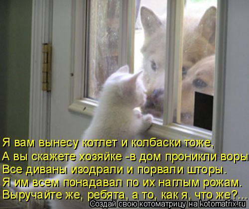 Все диваны изодрали и порвали шторы. Я вам вынесу котлет и колбаски тоже, А вы скажете хозяйке -в дом... Котоматрица: Все диваны изодрали и порвали шторы. Я вам вынесу котлет и колбаски тоже, А вы скажете хозяйке -в дом проникли воры, Я им всем понадавал по их