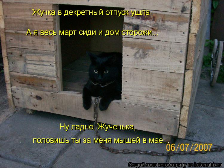 Жучка в декретный отпуск ушла А я весь март сиди и дом сторожи... Ну ладно, Жученька, половишь ты за ... Котоматрица: Жучка в декретный отпуск ушла А я весь март сиди и дом сторожи... Ну ладно, Жученька, половишь ты за меня мышей в мае...
