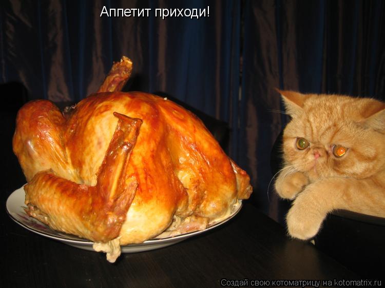 Аппетит приходи!... Котоматрица: Аппетит приходи!