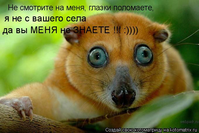 Котоматрица: Не смотрите на меня, глазки поломаете, я не с вашего села да вы МЕНЯ не ЗНАЕТЕ !!! :))))