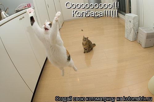 Оооооооооо!!! Колбаса!!!!!!... Котоматрица: Оооооооооо!!! Колбаса!!!!!!