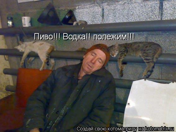 Пиво!!! Водка!! полежим!!!... Котоматрица: Пиво!!! Водка!! полежим!!!