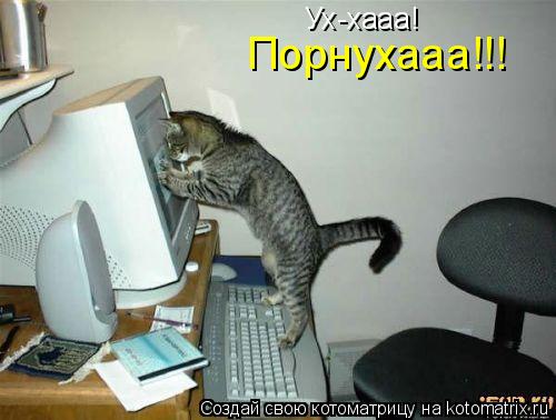 Ух-хааа! Порнухааа!!!... Котоматрица: Ух-хааа! Порнухааа!!!