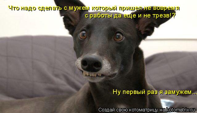 с работы да еще и не трезв!? Ну первый раз я замужем... Что надо сделать с мужем который пришел не во... Котоматрица: с работы да еще и не трезв!? Ну первый раз я замужем... Что надо сделать с мужем который пришел не вовремя