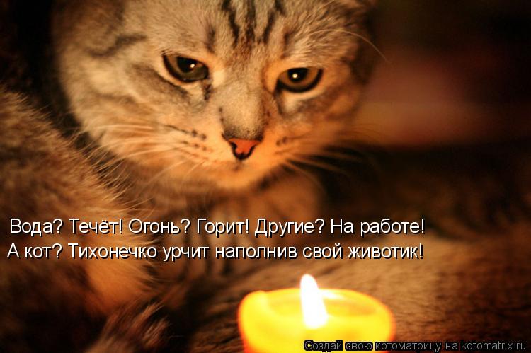 Вода? Течёт! Огонь? Горит! Другие? На работе! А кот? Тихонечко урчит наполнив свой животик!... Котоматрица: Вода? Течёт! Огонь? Горит! Другие? На работе! А кот? Тихонечко урчит наполнив свой животик!