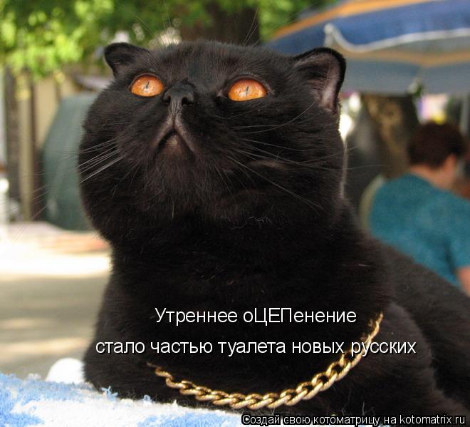Утреннее оЦЕПенение стало частью туалета новых русских... Котоматрица: Утреннее оЦЕПенение стало частью туалета новых русских