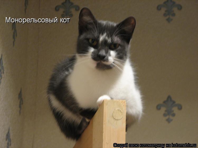 Монорельсовый кот... Котоматрица: Монорельсовый кот