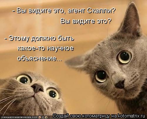 - Вы видите это, агент Скалли? Вы видите это? - Этому должно быть какое-то научное объяснение...... Котоматрица: - Вы видите это, агент Скалли? Вы видите это? - Этому должно быть какое-то научное объяснение...
