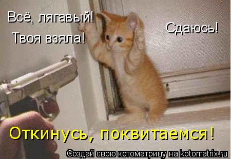 Всё, лягавый! Сдаюсь! Твоя взяла! Откинусь, поквитаемся!... Котоматрица: Всё, лягавый! Сдаюсь! Твоя взяла! Откинусь, поквитаемся!