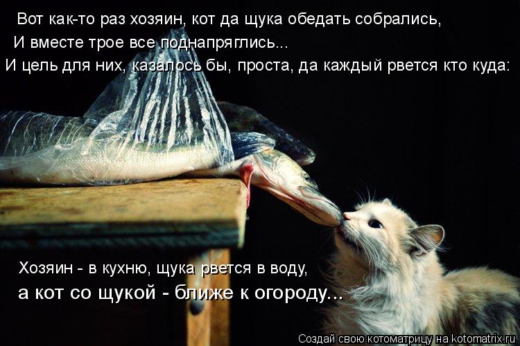 И цель для них, казалось бы, проста, да каждый рвется кто куда: Хозяин - в кухню, щука рвется в воду... Котоматрица: И цель для них, казалось бы, проста, да каждый рвется кто куда: Хозяин - в кухню, щука рвется в воду, а кот со щукой - ближе к огороду... Вот как-т