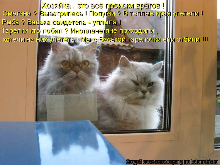 Хозяйка , это всё происки врагов ! Сметана ? Выветрилась ! Попугаи ? В тёплые края улетели ! Рыба ? В... Котоматрица: Хозяйка , это всё происки врагов ! Сметана ? Выветрилась ! Попугаи ? В тёплые края улетели ! Рыба ? Васька свидетель - уплыла ! Тарелки кто побил