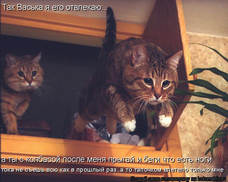 Так Васька я его отвлекаю... тока не съешь всю как в прошлый раз..а то тапочком влетело только мне а ... Котоматрица: Так Васька я его отвлекаю... тока не съешь всю как в прошлый раз..а то тапочком влетело только мне а ты с колбасой после меня прыгай и беги что