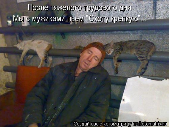 После тяжелого трудового дня Мы с мужиками пьем "Охоту крепкую"...... Котоматрица: После тяжелого трудового дня Мы с мужиками пьем "Охоту крепкую"...