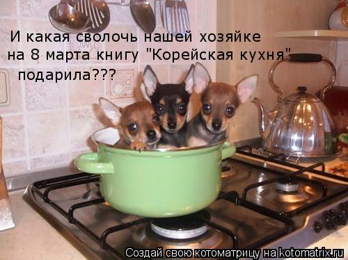 И какая сволочь нашей хозяйке на 8 марта книгу "Корейская кухня" подарила???... Котоматрица: И какая сволочь нашей хозяйке на 8 марта книгу "Корейская кухня" подарила???