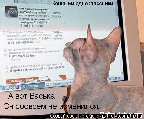 Котоматрица: Кошачьи одноклассники. А вот Васька! Он соовсем не изменился...