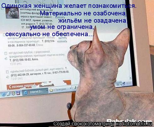 Одинокая женщина желает познакомиться. Материально не озабочена, жильём не озадачена, умом не огранич... Котоматрица: Одинокая женщина желает познакомиться. Материально не озабочена, жильём не озадачена, умом не ограничена, сексуально не обеспечена...
