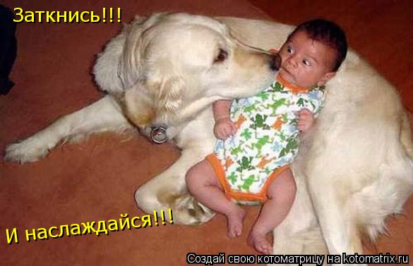 Заткнись!!! И наслаждайся!!!... Котоматрица: Заткнись!!! И наслаждайся!!!