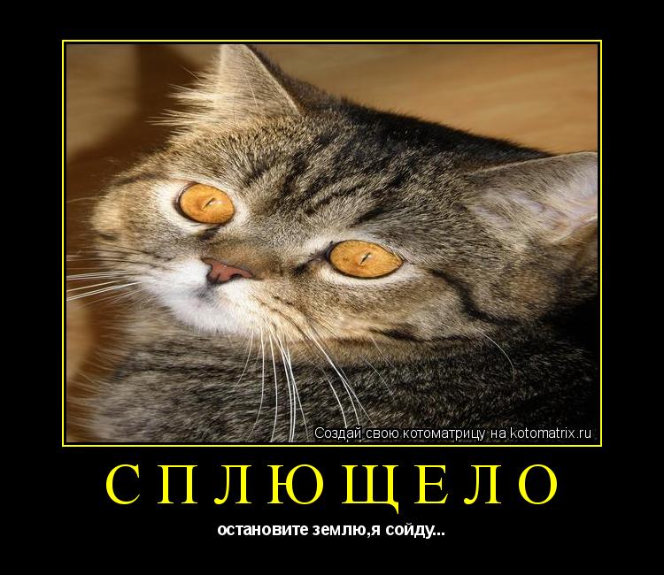 сплющело остановите землю,я сойду...... Котоматрица: сплющело остановите землю,я сойду...