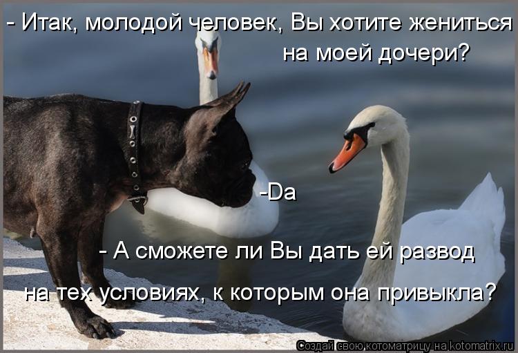 - Итак, молодой человек, Вы хотите жениться на моей дочери? -Da - А сможете ли Вы дать ей развод ... Котоматрица: - Итак, молодой человек, Вы хотите жениться на моей дочери? -Da - А сможете ли Вы дать ей развод на тех условиях, к которым она привыкла?