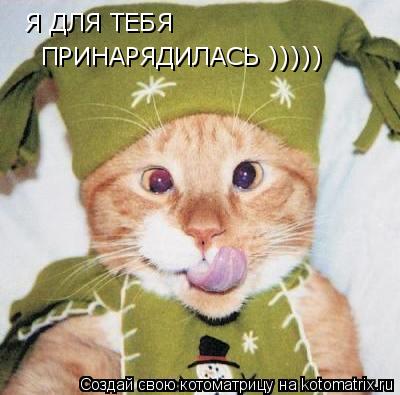 Я ДЛЯ ТЕБЯ ПРИНАРЯДИЛАСЬ )))))... Котоматрица: Я ДЛЯ ТЕБЯ ПРИНАРЯДИЛАСЬ )))))