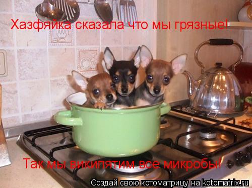 Хазфяйка сказала что мы грязные! Хазфяйка сказала что мы грязные! Так и мы решили искупатса!!! Хазфяй... Котоматрица: Хазфяйка сказала что мы грязные! Хазфяйка сказала что мы грязные! Так и мы решили искупатса!!! Хазфяйка сказала что мы грязные! Так мы википя
