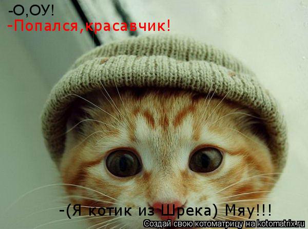 -О,ОУ! -Попался,красавчик! -(Я котик из Шрека) Мяу!!!... Котоматрица: -О,ОУ! -Попался,красавчик! -(Я котик из Шрека) Мяу!!!
