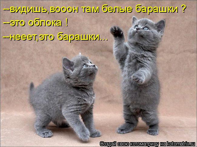 --видишь,вооон там белые барашки ? --это облока ! --нееет,это барашки...... Котоматрица: --видишь,вооон там белые барашки ? --это облока ! --нееет,это барашки...