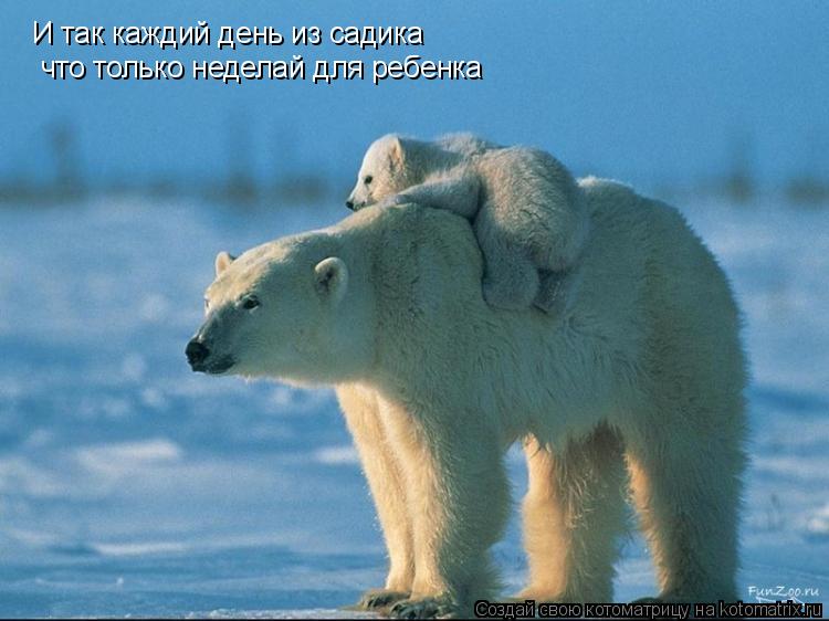 И так каждий день из садика что только неделай для ребенка... Котоматрица: И так каждий день из садика что только неделай для ребенка