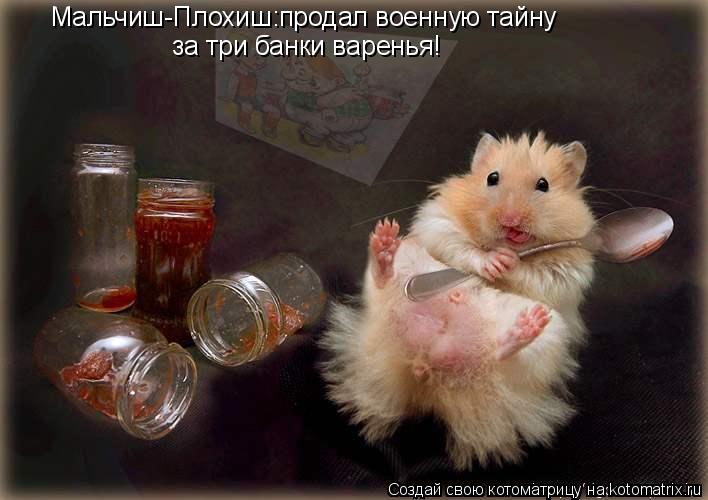 Котоматрица: Мальчиш-Плохиш:продал военную тайну за три банки варенья!