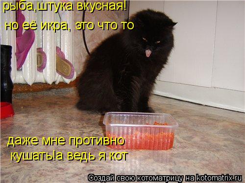 рыба,штука вкусная! но её икра, это что то даже мне противно кушать!а ведь я кот... Котоматрица: рыба,штука вкусная! но её икра, это что то даже мне противно кушать!а ведь я кот
