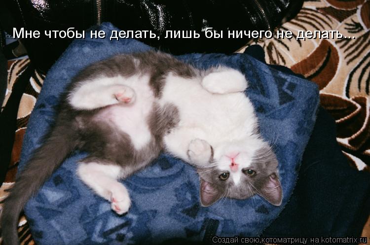 Мне чтобы не делать, лишь бы ничего не делать...... Котоматрица: Мне чтобы не делать, лишь бы ничего не делать...
